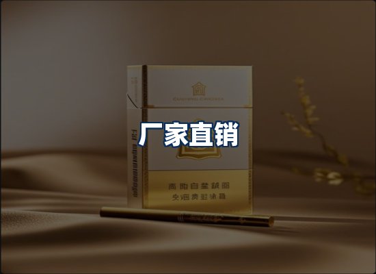 专业团队办公环境